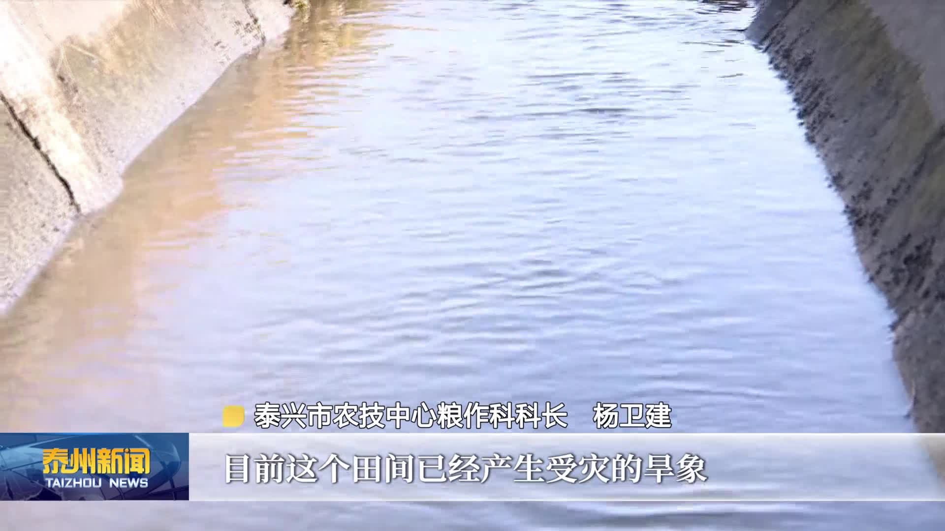 在希望的田野上  泰州：加强田间管理 确保小麦安全越冬